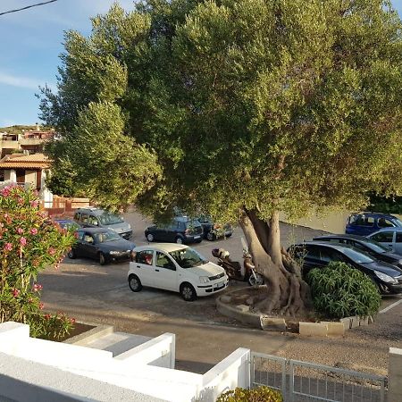 B&B Unique Art Santa Teresa di Gallura Esterno foto