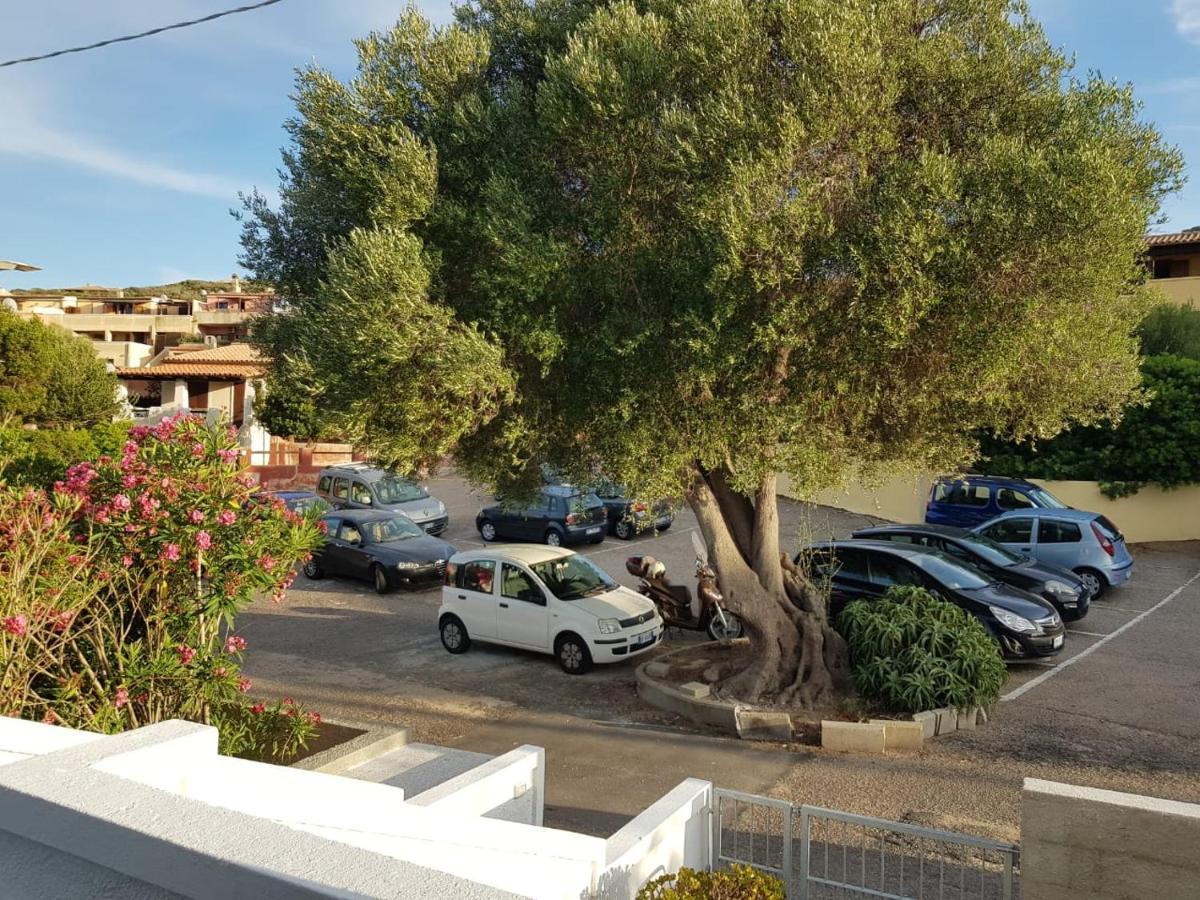B&B Unique Art Santa Teresa di Gallura Esterno foto
